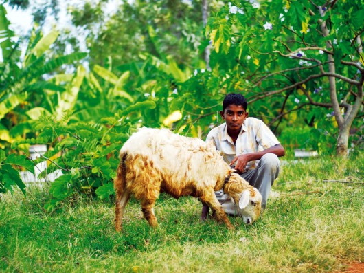 Yelegiri Camp Centre